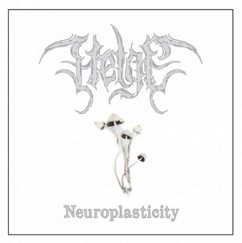 HELGE - Neuroplasticity DIGI